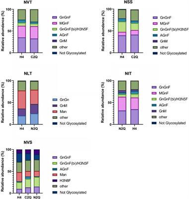 Effects of N-glycans on the structure of human IgA2